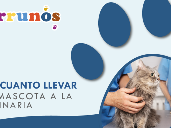 Cada cuanto debo llevar a mi mascota a la veterinaria.