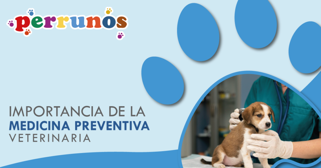 Importancia de la medicina veterinaria preventiva