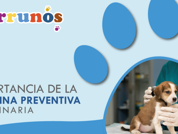 Importancia de la medicina veterinaria preventiva