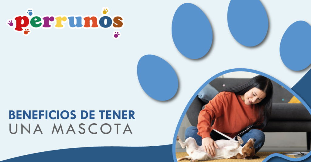 Beneficios de tener una mascota