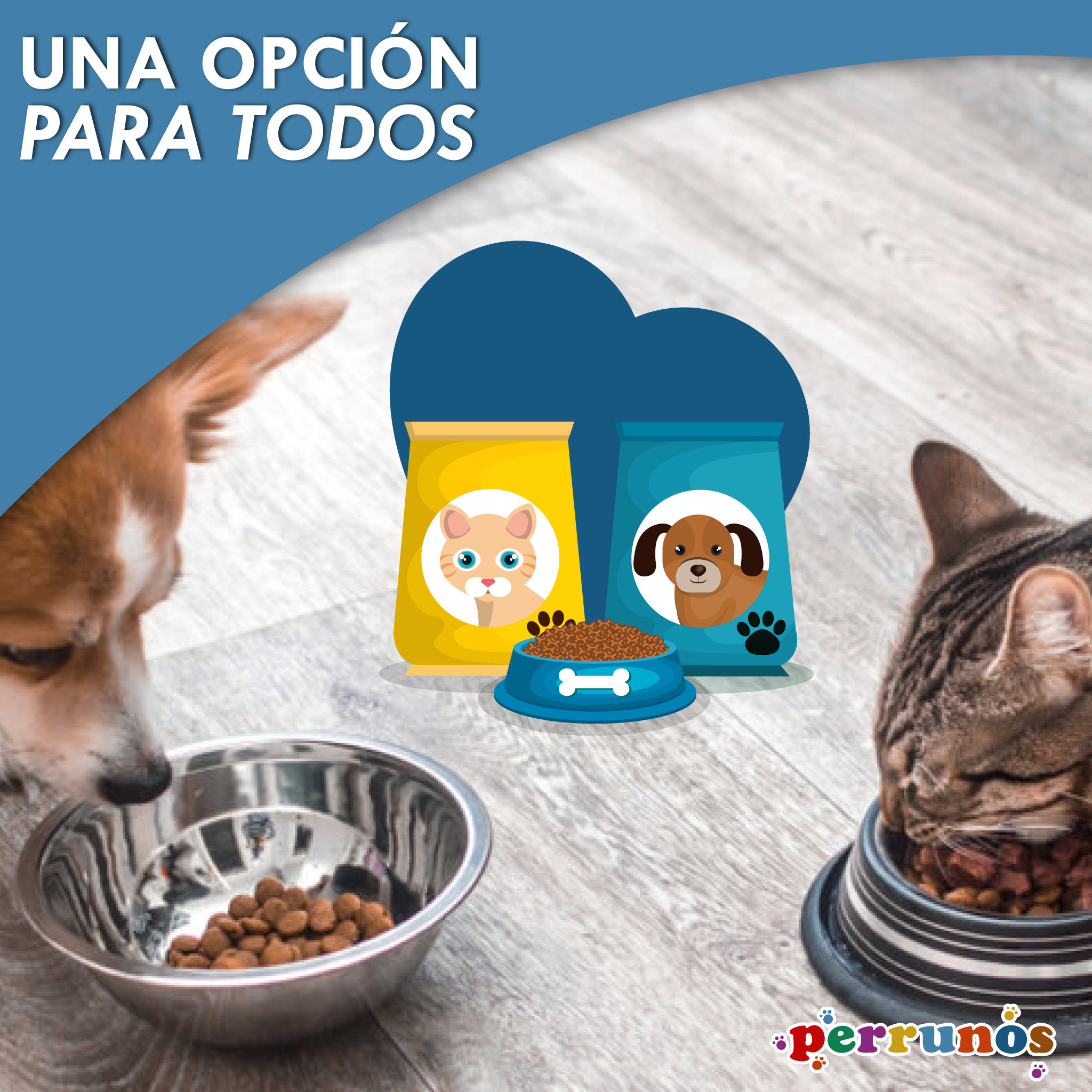 alimentación para mi mascota