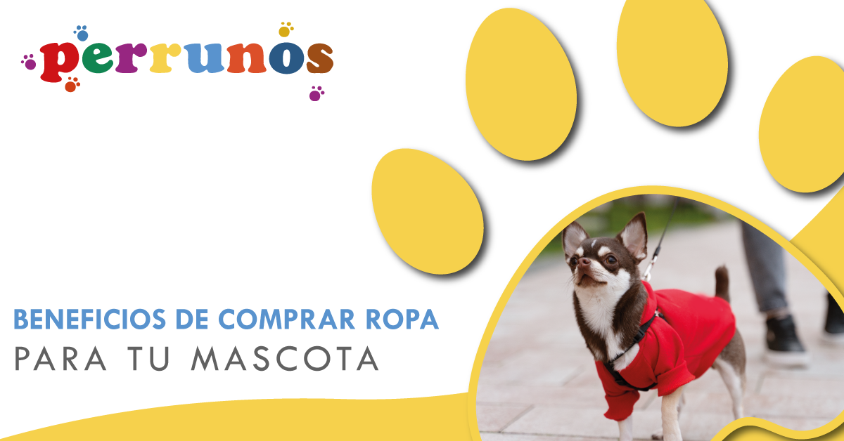 Beneficios de comprar ropa para tu mascota