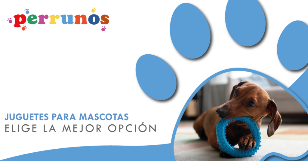juguetes para mascotas - cómo elegir un juguete seguro